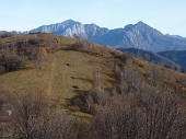 14 Grigne